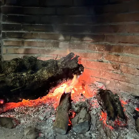Cortijo Don Meliton *